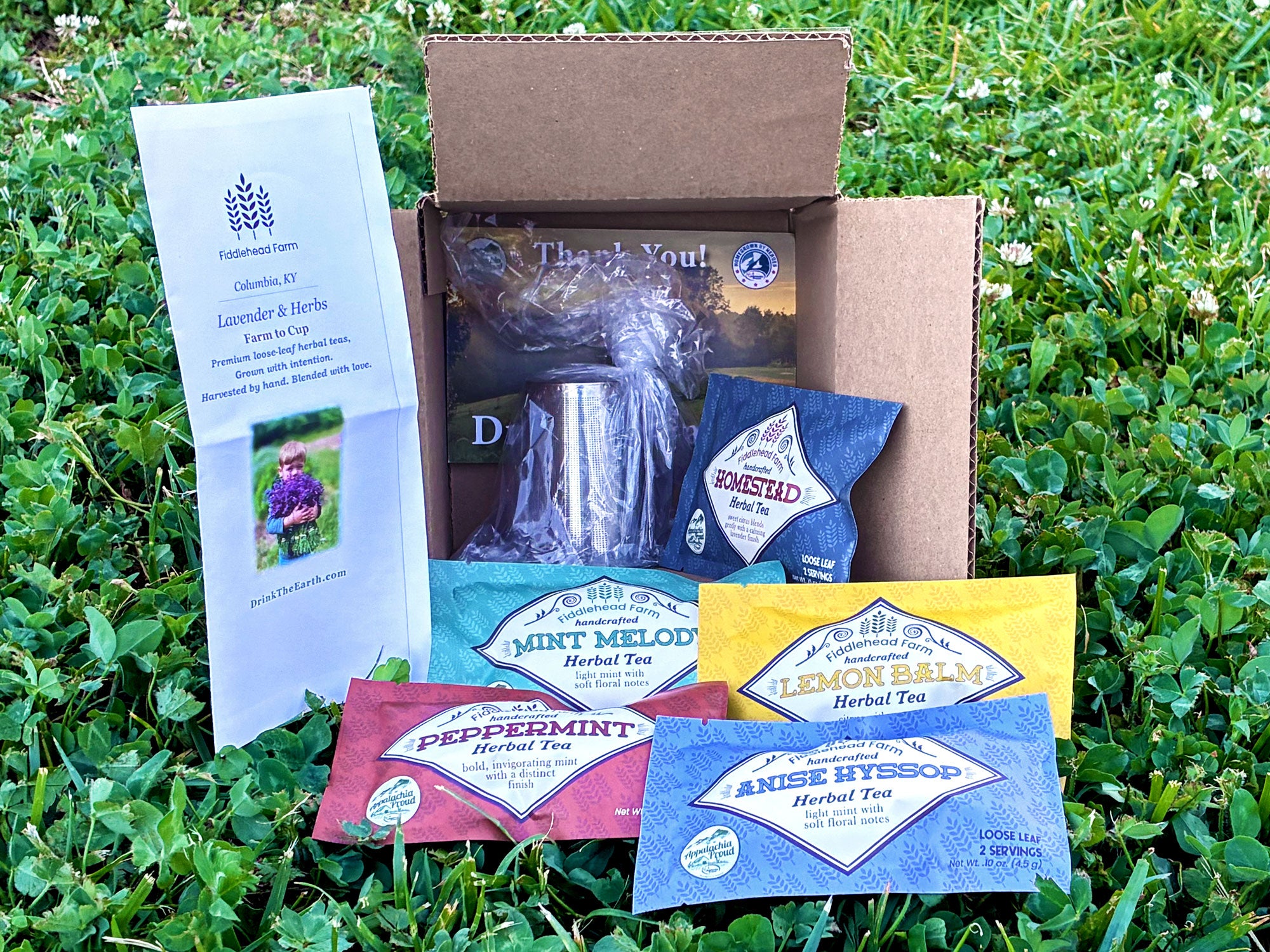 Starter Pack | Loose Leaf Teas & Infusers | Fiddlehead Farm | Columbia KY