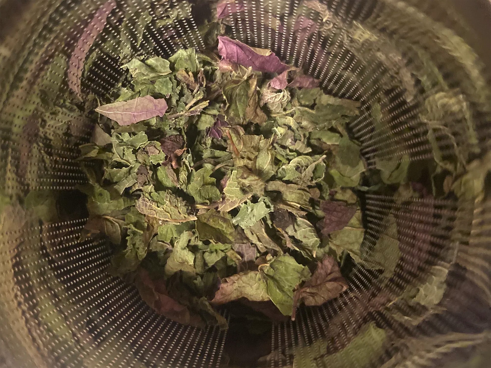 Lemon Balm | Loose-Leaf Teas & Infusers | Fiddlehead Farm | Columbia, Kentucky