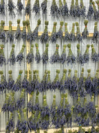 Culinary Lavender  - Melissa Liliac (1 BUNDLE)