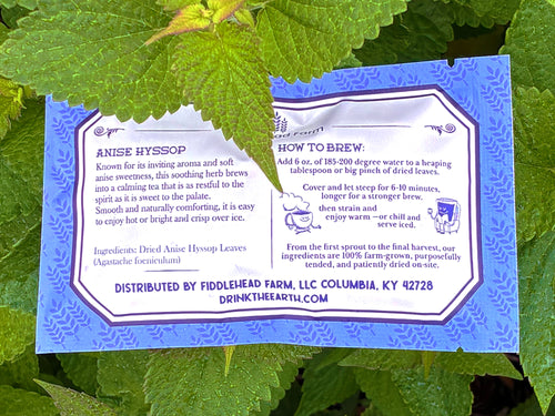 Anise Hyssop | Loose Leaf Teas & Infusers | Fiddlehead Farm | Columbia KY