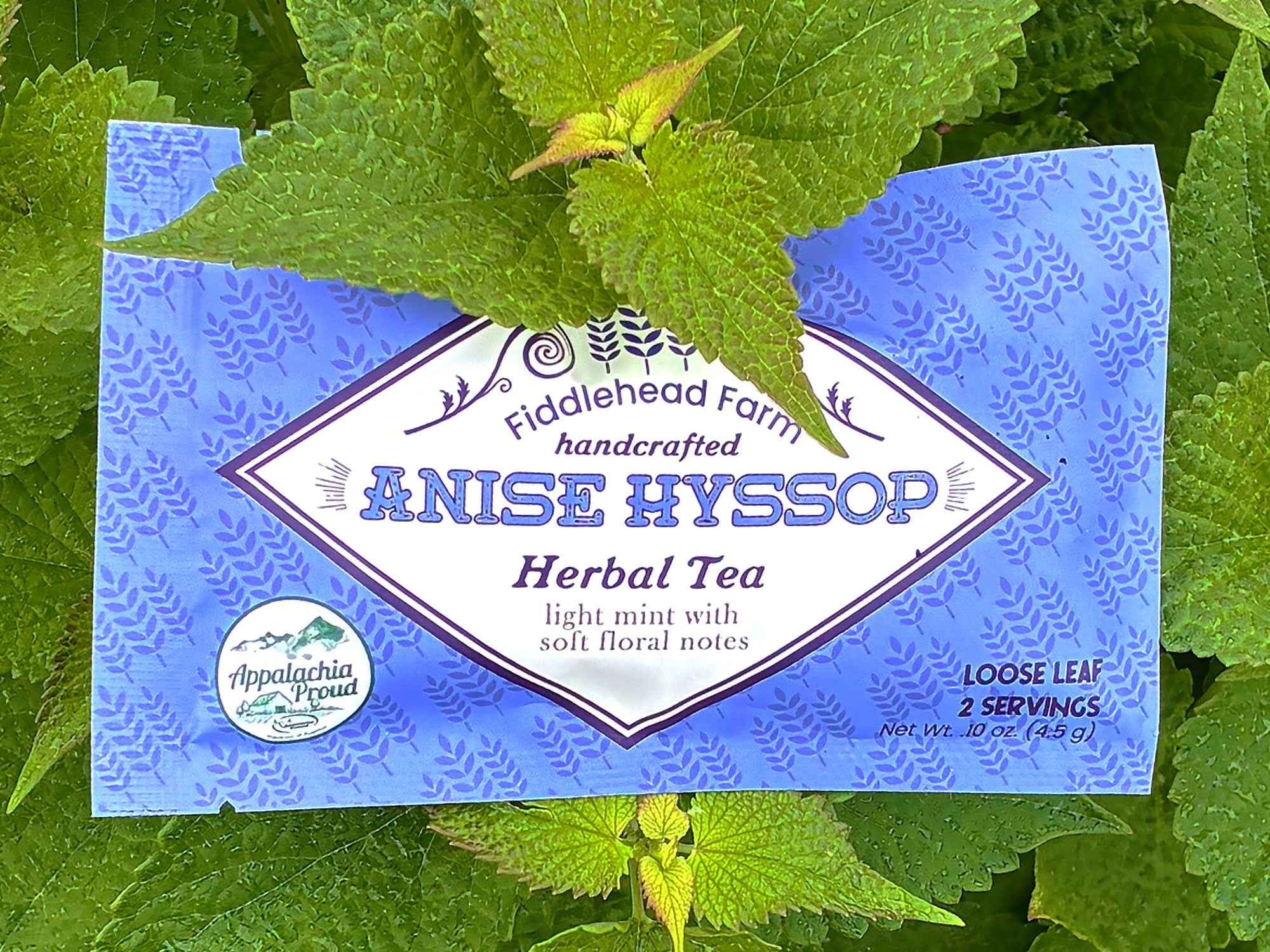 Anise Hyssop | Loose Leaf Teas & Infusers | Fiddlehead Farm