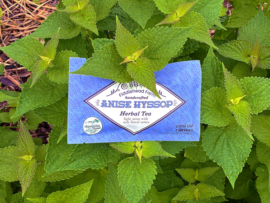 Anise Hyssop | Loose Leaf Teas & Infusers | Fiddlehead Farm | Columbia KY