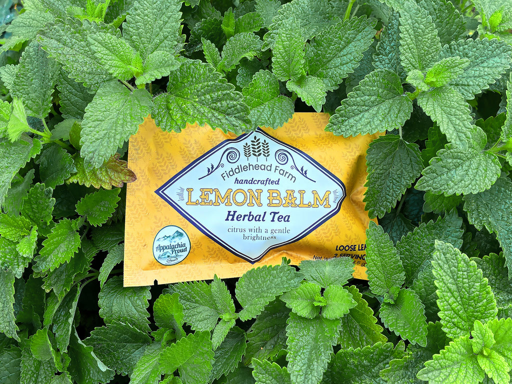 Lemon Balm | Loose Leaf Teas & Infusers | Fiddlehead Farm | Columbia KY