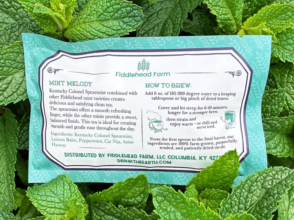 Mint Melody | Loose Leaf Teas & Infusers | Fiddlehead Farm | Columbia KY