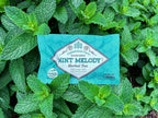 MINT MELODY (Sm)
