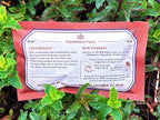 PEPPERMINT (Sm)