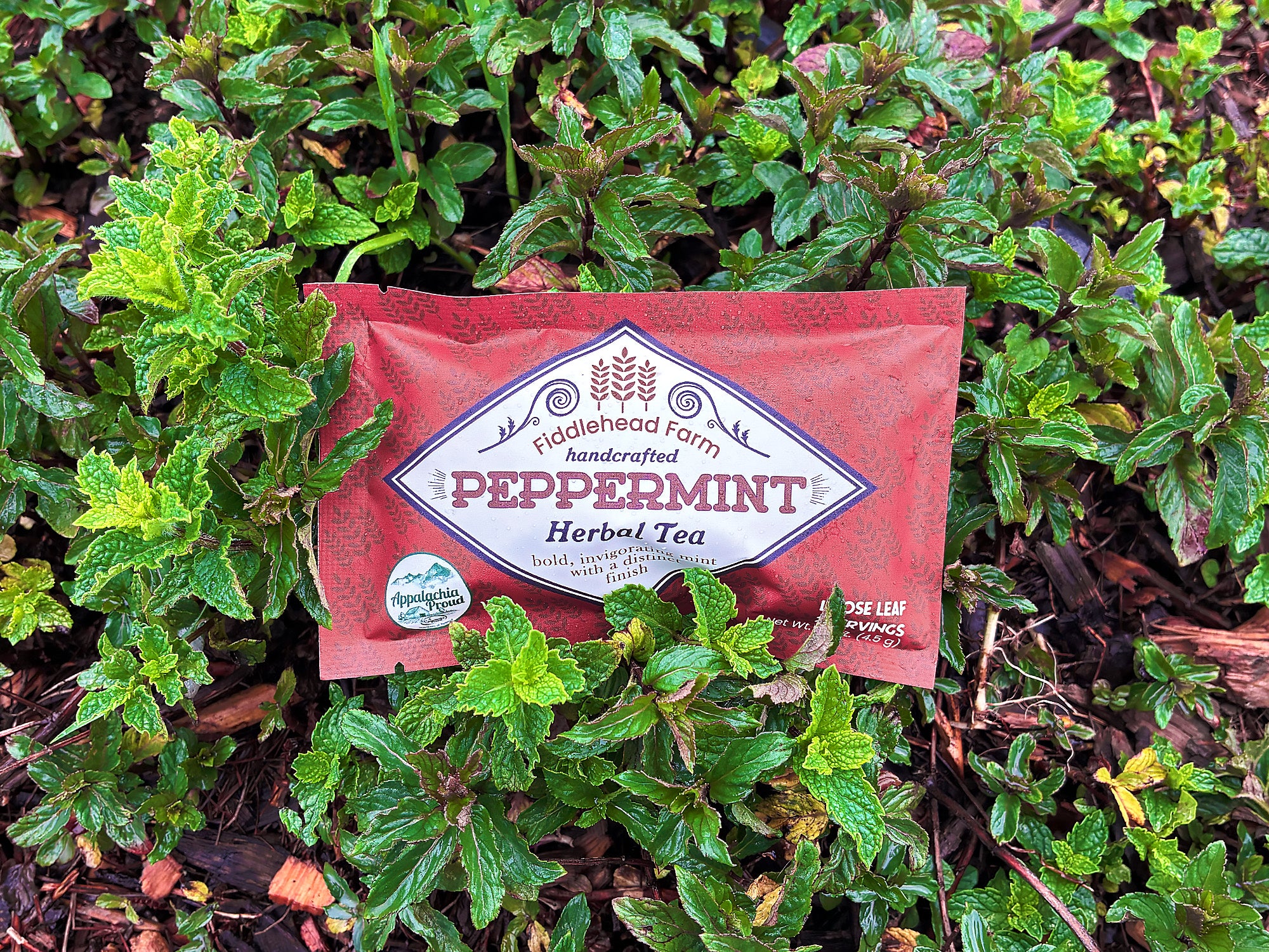 PEPPERMINT (Sm)